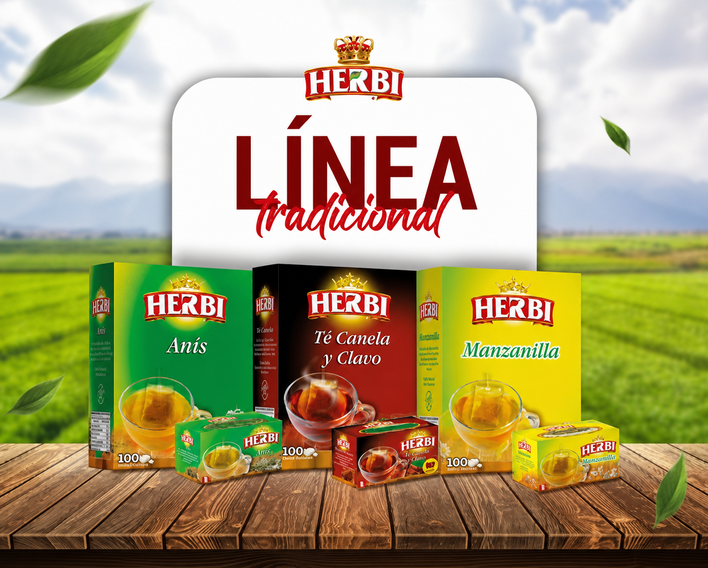 Línea tradicional de infusiones filtrantes Herbi